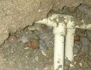 东宝卫生间测漏