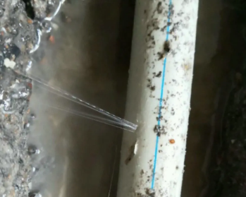 东宝卫生间测漏水多少钱