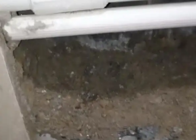 东宝卫生间测漏水多少钱